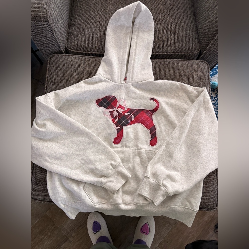 PINK//LOVESHACK FANCY hoodie